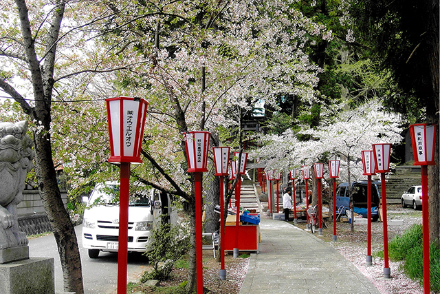 春日神社の四季